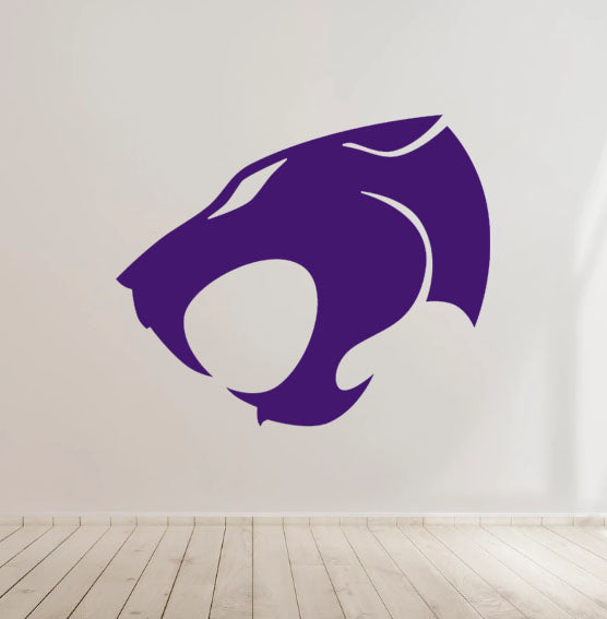 Thunder Cats Cartoon Kids Vinyl Decal Car Laptop Truck Bumper Window Decor Phone